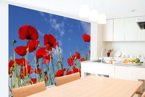 Vlies Fototapete - Rote Mohnblumen 375 x 250 cm